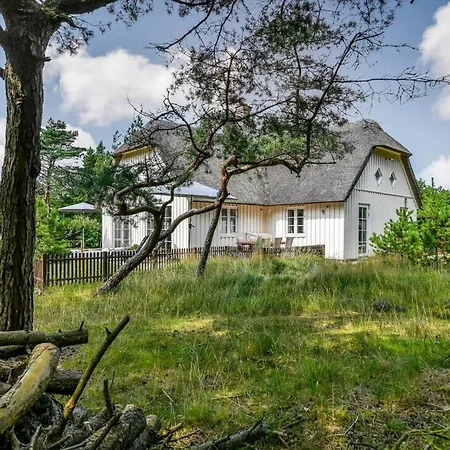 Bv351-blavand-contortavej-3 Blåvand