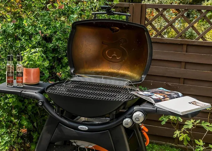 Bv351-blavand-contortavej-3 *