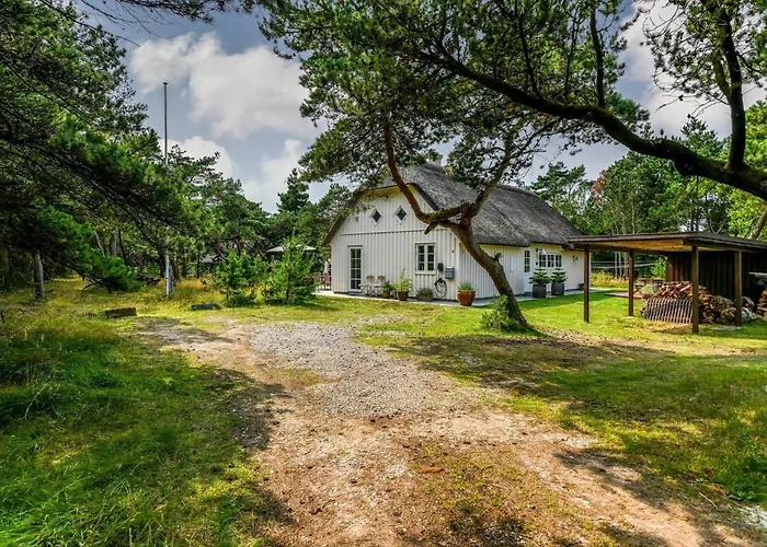 Bv351-blavand-contortavej-3 Ferienhaus