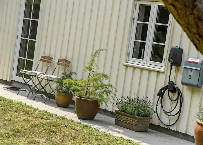 Bv351-blavand-contortavej-3