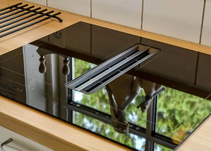 Bv351-blavand-contortavej-3 Ferienhaus *