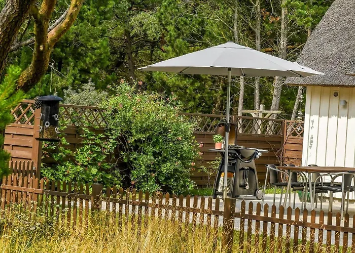 Bv351-blavand-contortavej-3 * Blåvand