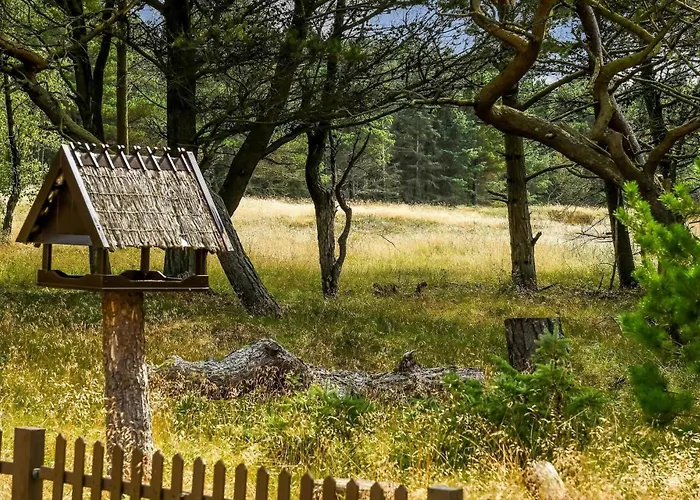 Bv351-blavand-contortavej-3 *