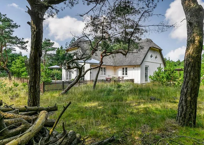 Bv351-blavand-contortavej-3 * Blåvand